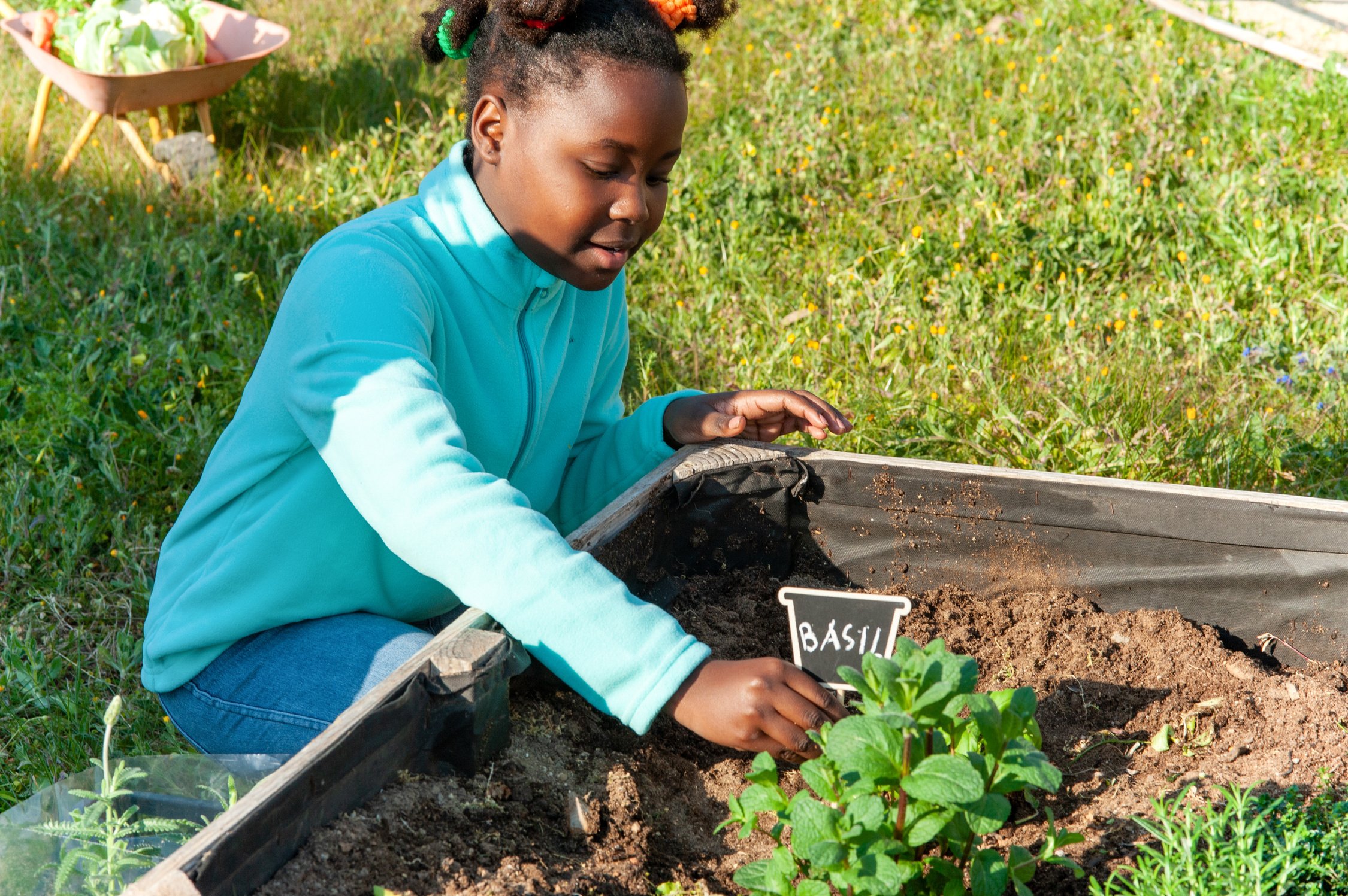 Young Girl Putting a Label on Plant in the Garden